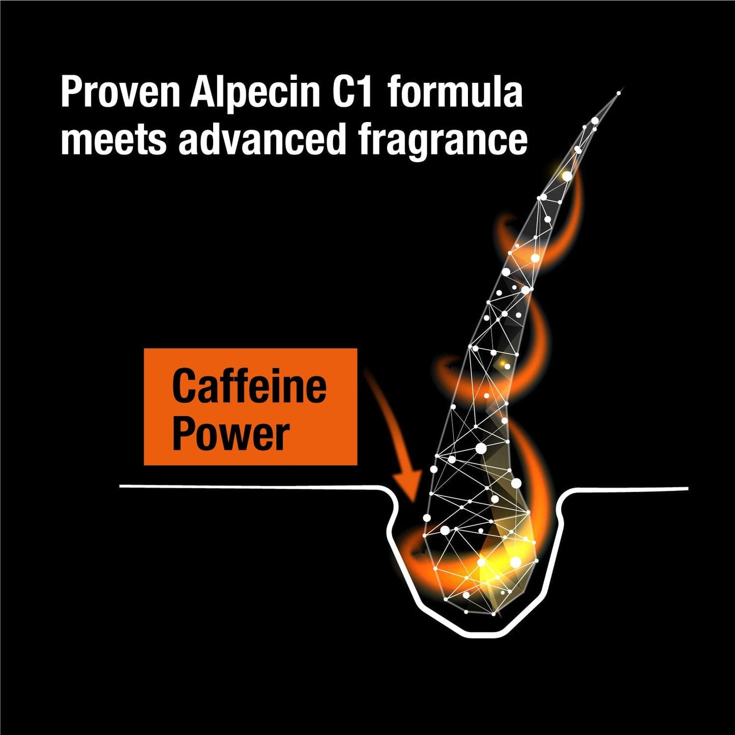 Alpecin Black Mens Shampoo