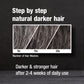 Alpecin Grey Attack Koffein & Color Shampoo til mænd 